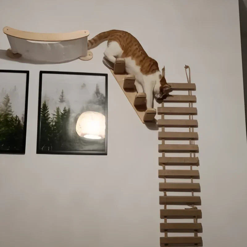Catvera Wooden Cat Wall Climbing Ladder - Image 2|||PROMPT|||Original clean product image