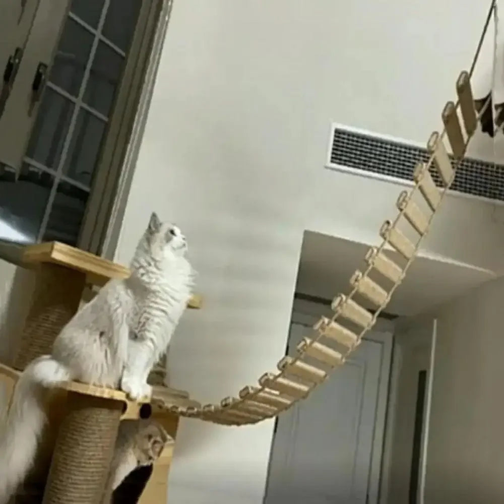 Catvera Wooden Cat Wall Climbing Ladder - Image 3|||PROMPT|||Original clean product image