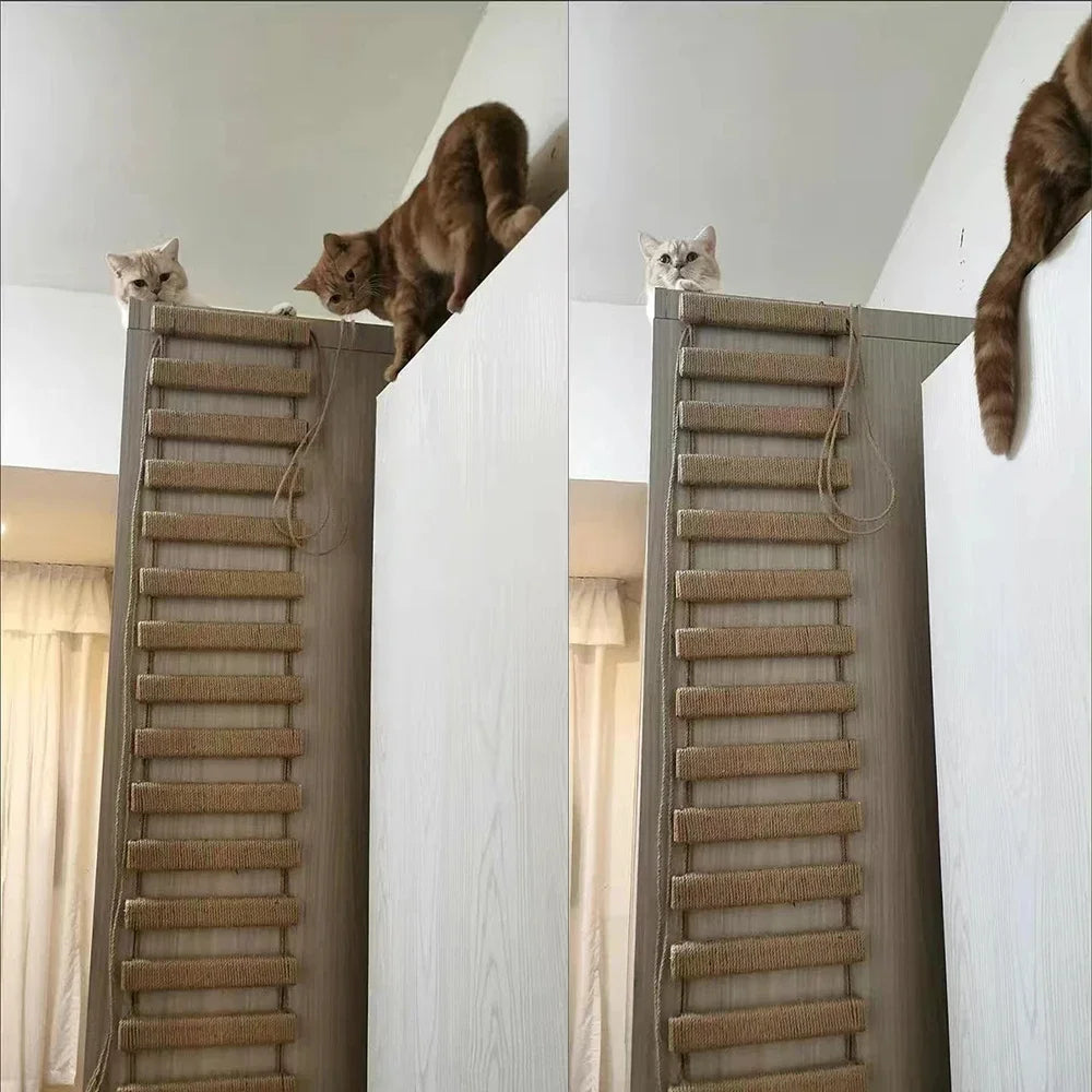 Catvera Wooden Cat Wall Climbing Ladder - Image 4|||PROMPT|||Original clean product image