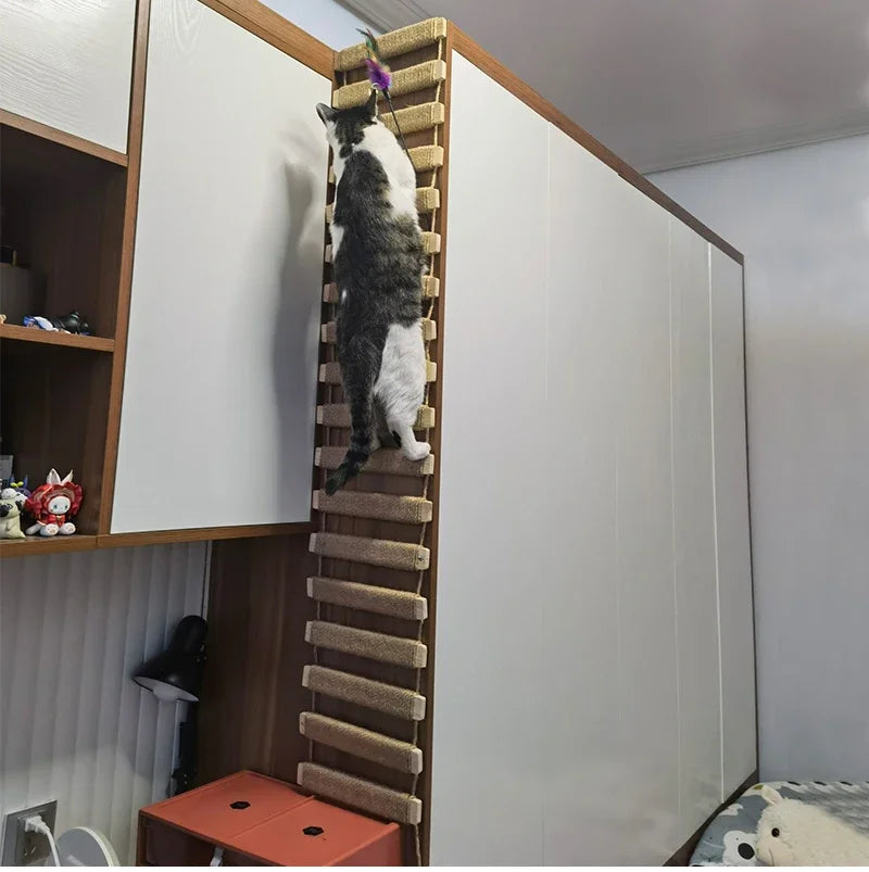 Catvera Wooden Cat Wall Climbing Ladder - Image 5|||PROMPT|||Original clean product image