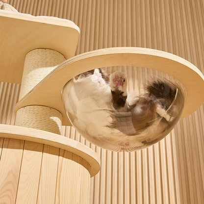 Catvera Wooden Multi-Level Cat Tower - Image 15|||PROMPT|||Original clean product image