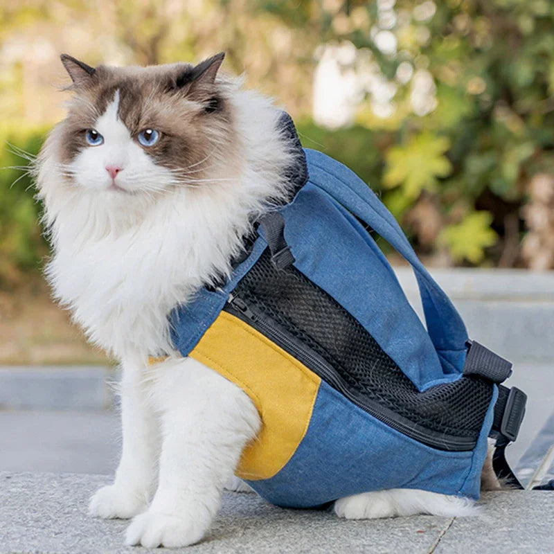 Hands-Free Canvas Pet Backpack Carrier - Image 3|||PROMPT|||Original clean product image