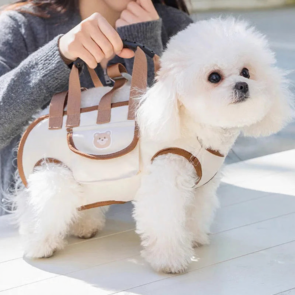Horizontal Dog Carrier Crossbody Backpack - Image 3|||PROMPT|||Cleaned image. Original analysis: Found 1 brand name printed on the pet carrier bag