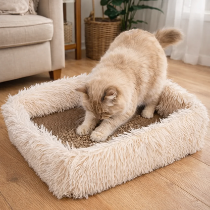 Legowisko i drapak 2 w 1