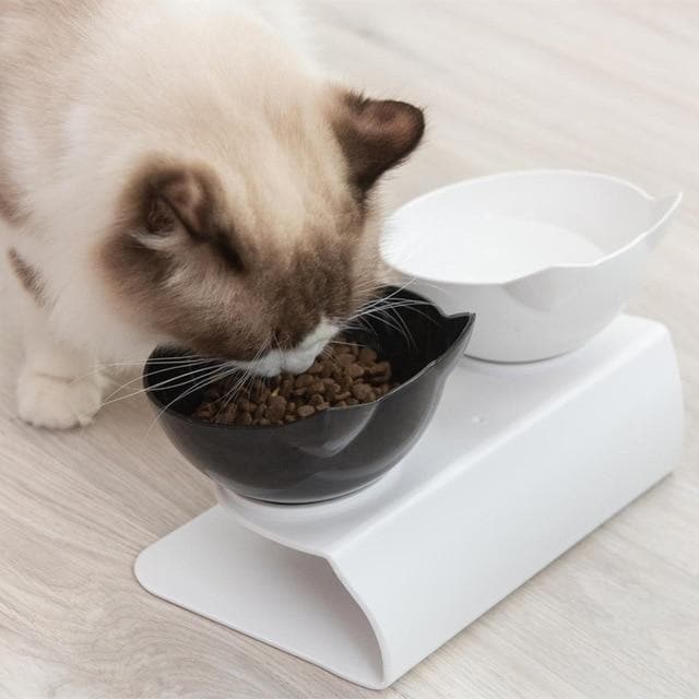 Catvera Tilted Anti-Vomiting Cat Bowl