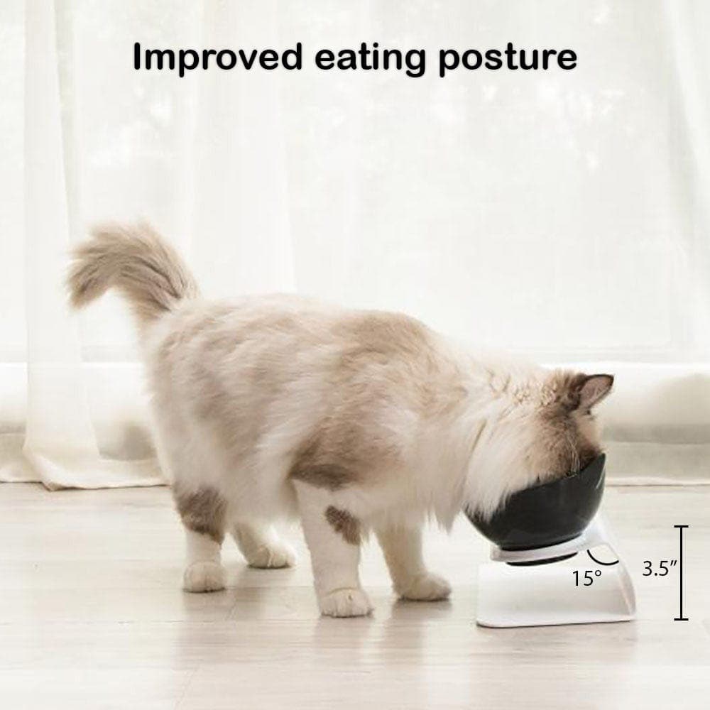 Catvera Tilted Anti-Vomiting Cat Bowl