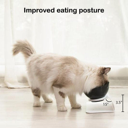Catvera Tilted Anti-Vomiting Cat Bowl