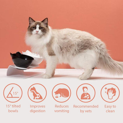 Catvera Tilted Anti-Vomiting Cat Bowl