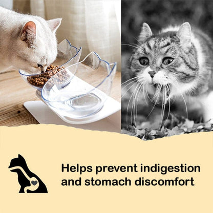 Catvera Tilted Anti-Vomiting Cat Bowl