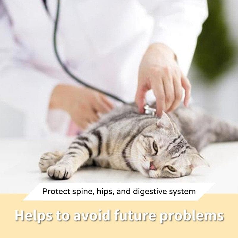 Catvera Tilted Anti-Vomiting Cat Bowl