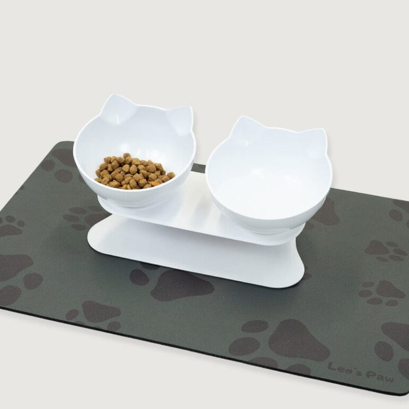 Catvera Tilted Anti-Vomiting Cat Bowl