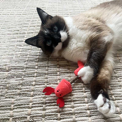 Catvera Catnip Silvervine Chew Toys