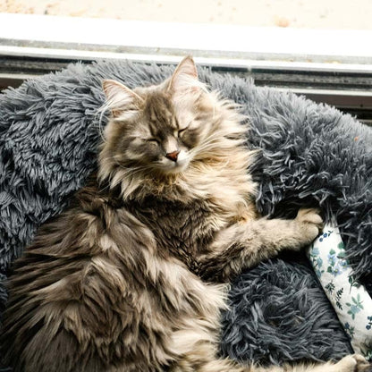 Catvera Calming Donut Cat Bed