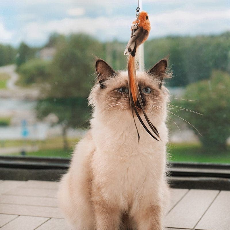Catvera Interactive Bird Simulation Toy