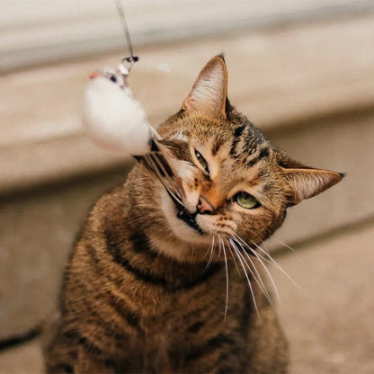 Catvera Interactive Bird Simulation Toy
