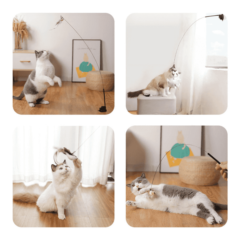 Catvera Interactive Bird Simulation Toy