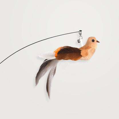 Catvera Interactive Bird Simulation Toy