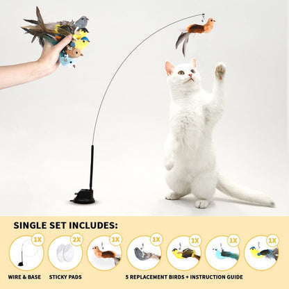 Catvera Interactive Bird Simulation Toy