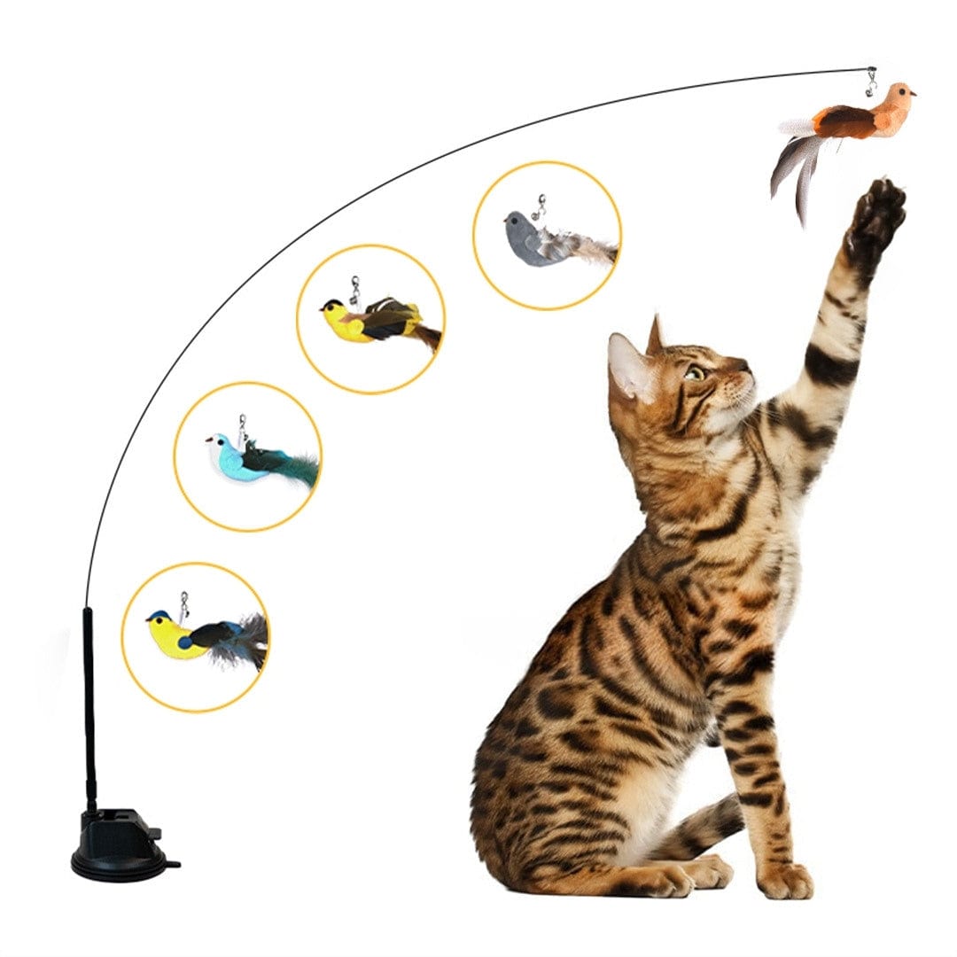 Catvera Interactive Bird Simulation Toy
