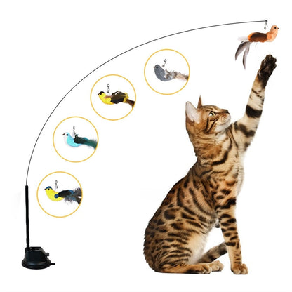 Catvera Interactive Bird Simulation Toy