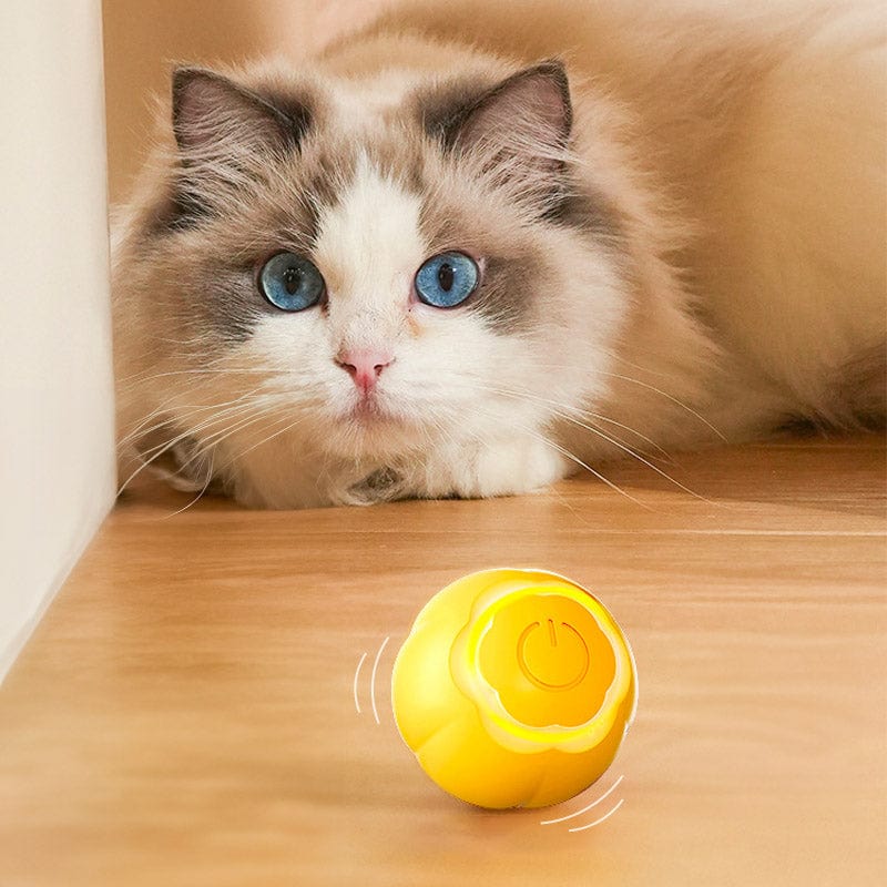 Catvera Smart LED Ball Toy