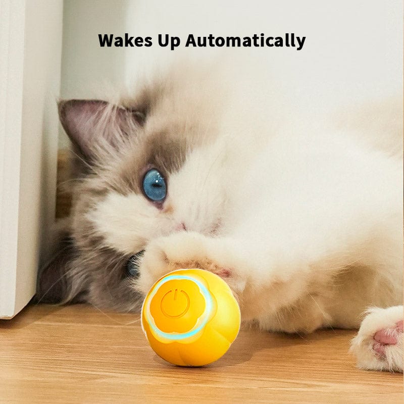 Catvera Smart LED Ball Toy