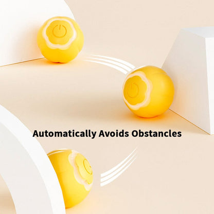 Catvera Smart LED Ball Toy