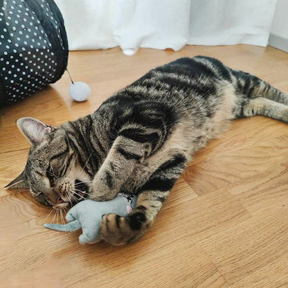 Catvera 6-Piece Catnip Toy Collection