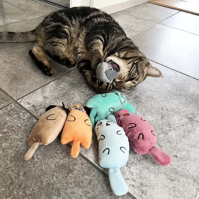 Catvera 6-Piece Catnip Toy Collection