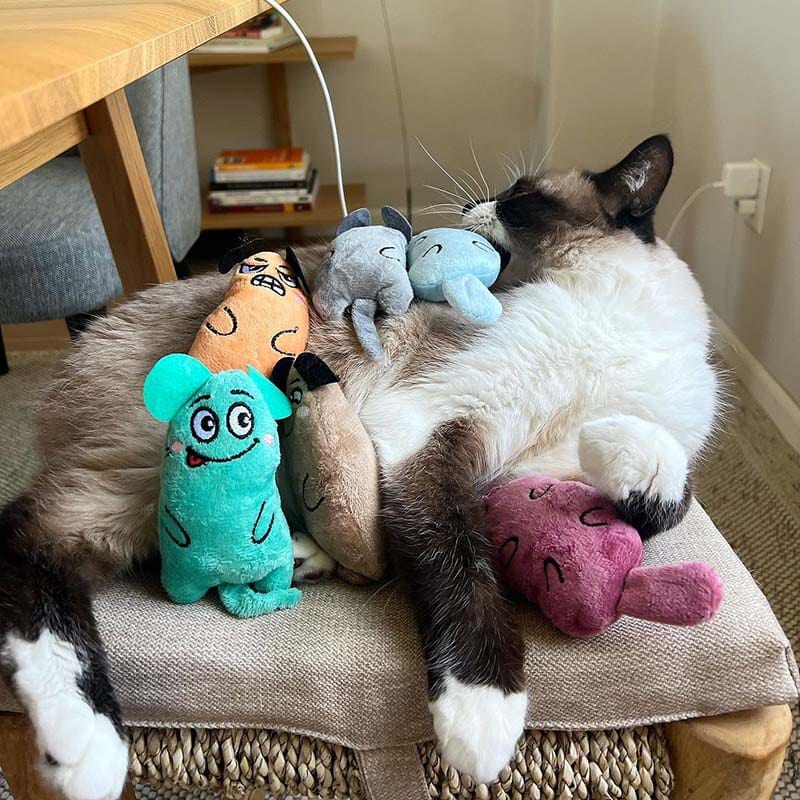 Catvera 6-Piece Catnip Toy Collection