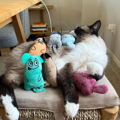 Catvera 6-Piece Catnip Toy Collection