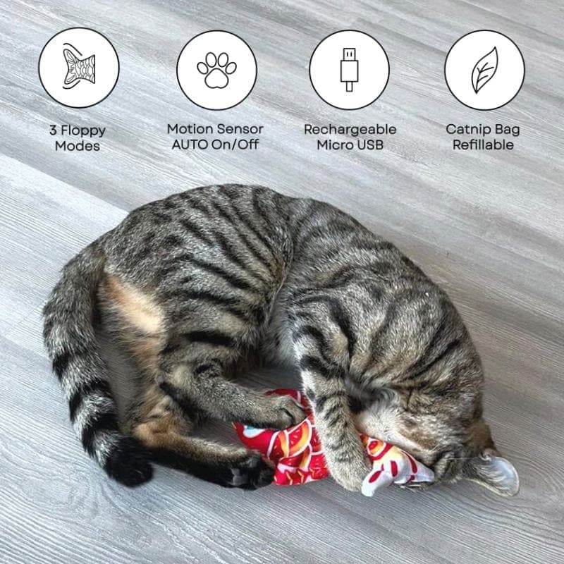 Catvera Interactive Motion Sensor Fish