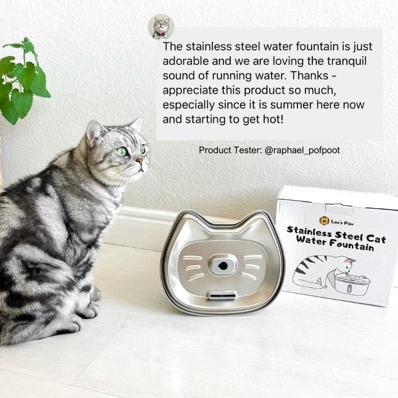 Catvera Stainless Steel Water Fountain