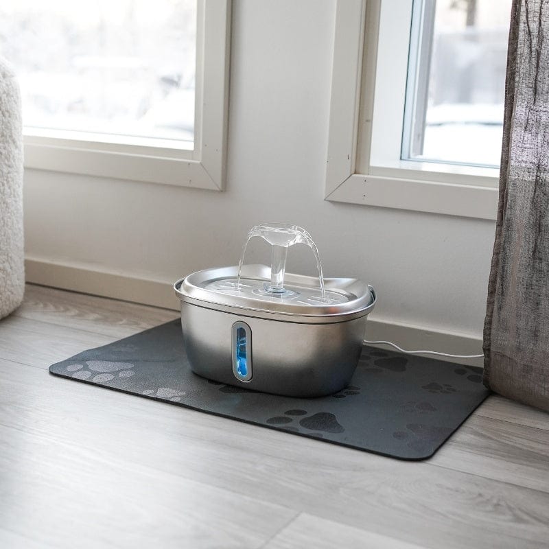 Catvera Stainless Steel Water Fountain