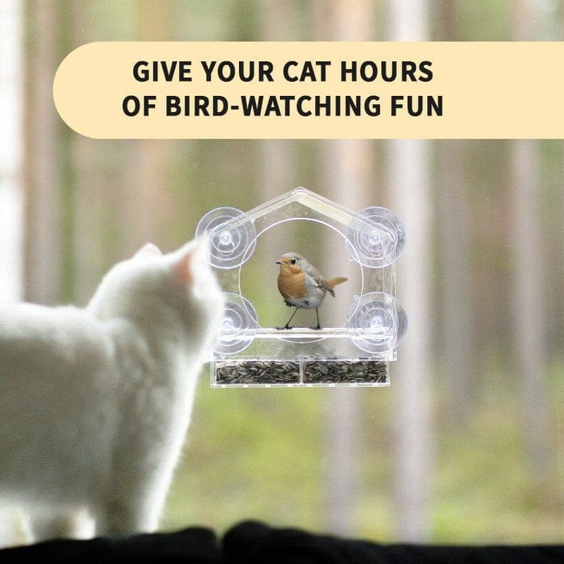 Catvera Window Bird Feeder TV