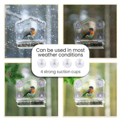 Catvera Window Bird Feeder TV