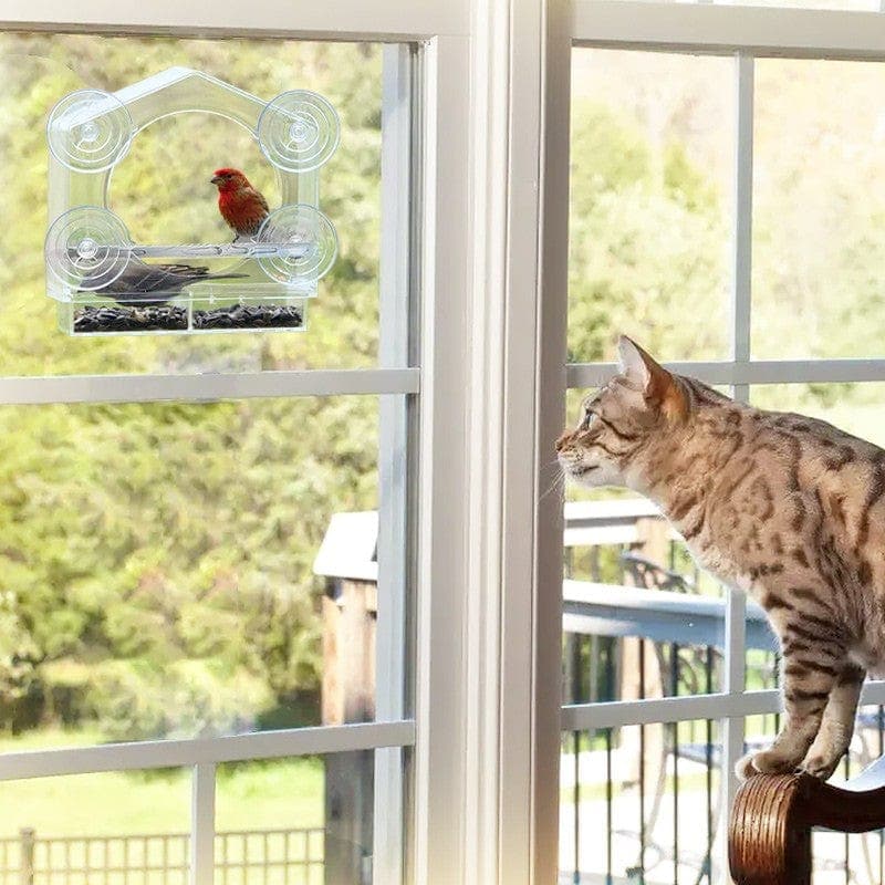 Catvera Window Bird Feeder TV