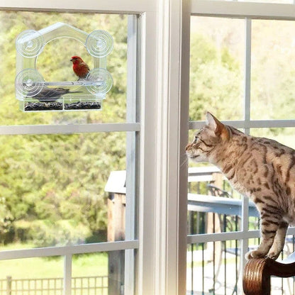 Catvera Window Bird Feeder TV
