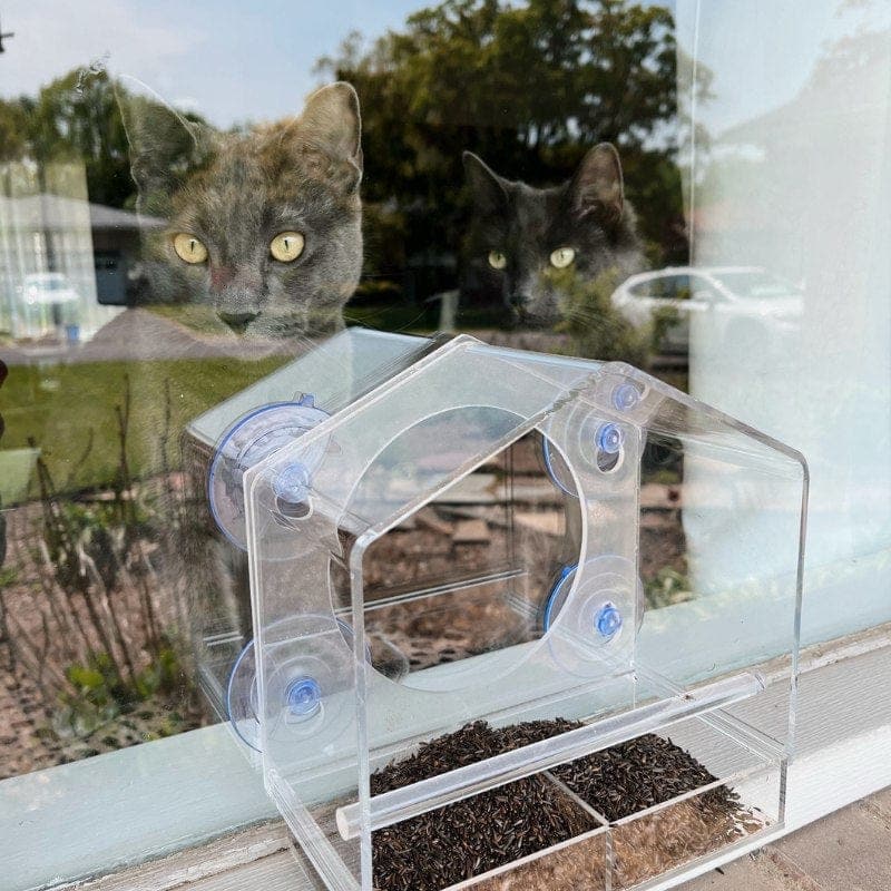Catvera Window Bird Feeder TV