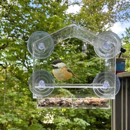 Catvera Window Bird Feeder TV