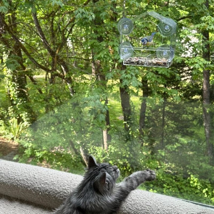 Catvera Window Bird Feeder TV