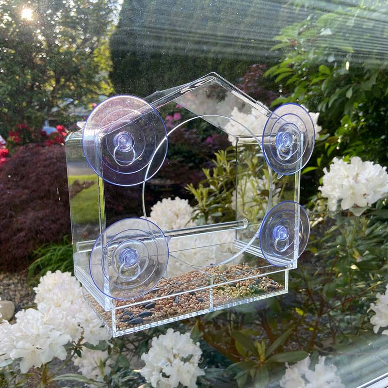 Catvera Window Bird Feeder TV