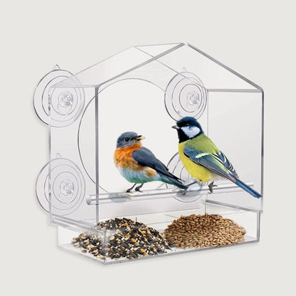 Catvera Window Bird Feeder TV